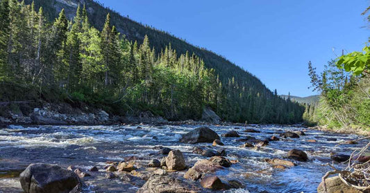 Fly Fishing Atlantic Salmon In Newfoundland For Less Money.