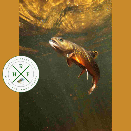 The Art of the Fly: Atlantic Canada's Top 10 Trout Flies