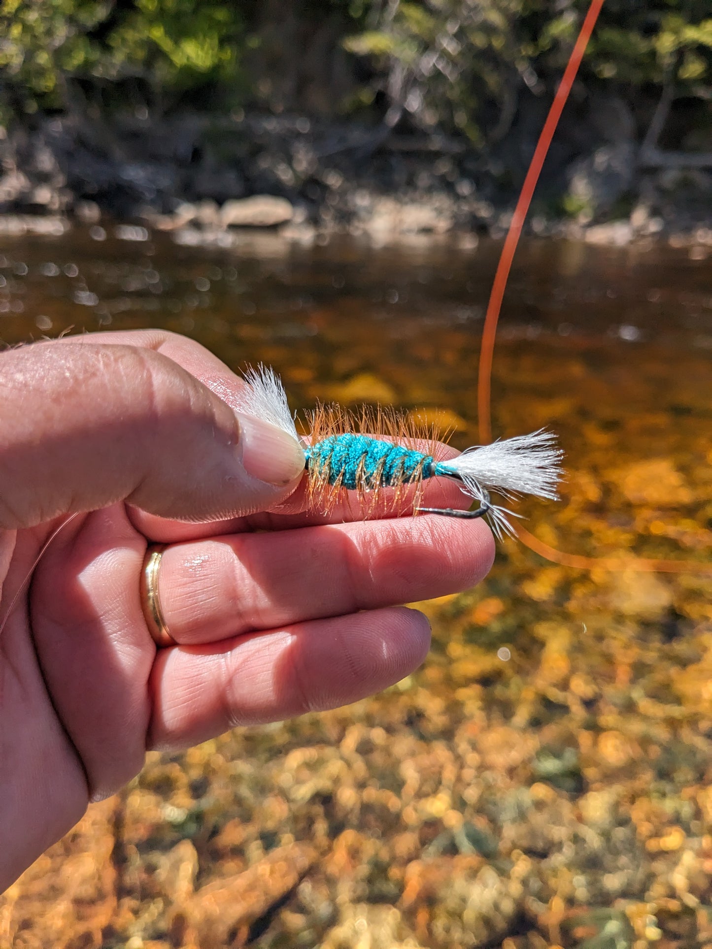 Atlantic Salmon Wulff Pack
