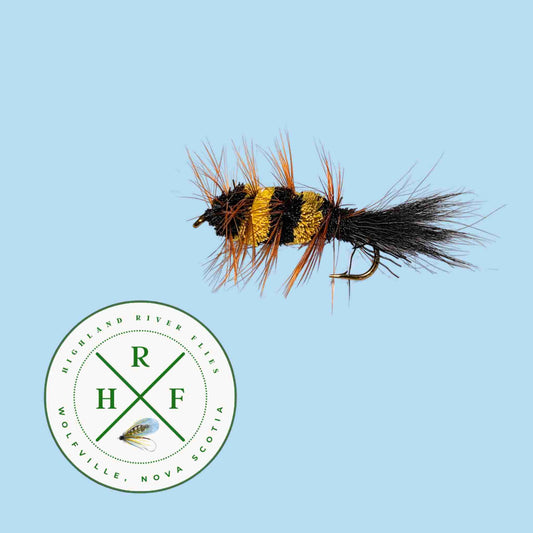 Insecte d'abeille