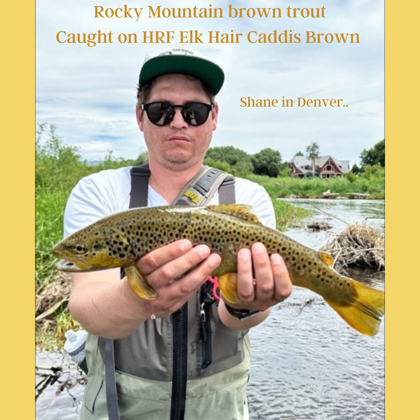 Elk Hair Caddis Brown