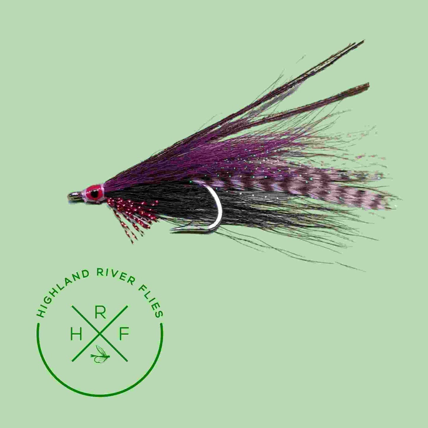 Deceiver fly in purple and black