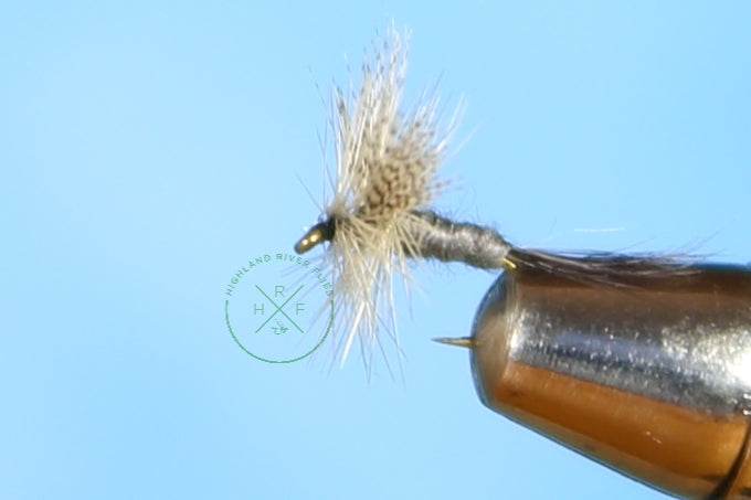 dark hendrickson fly