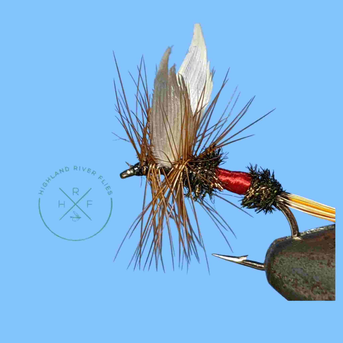 Royal Coachman Dry Fly