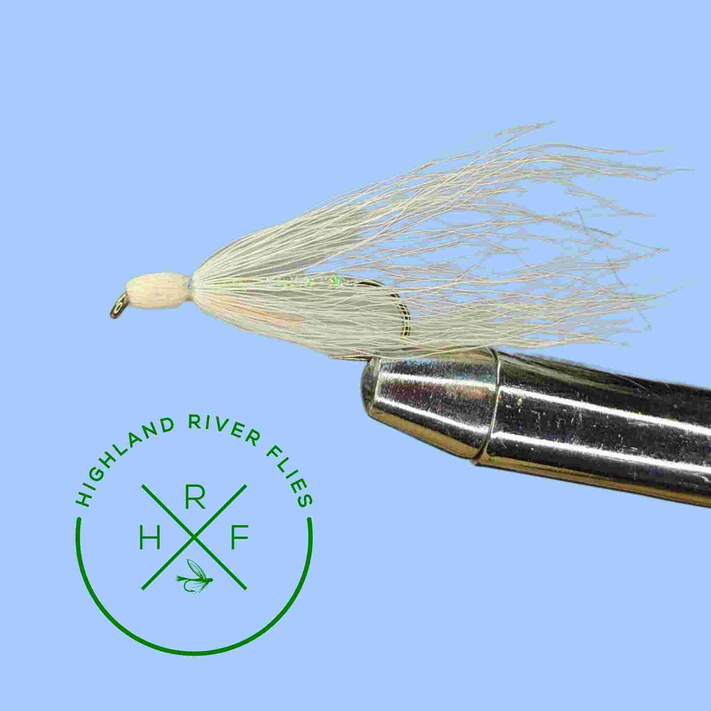 Shiner Silver Minnow