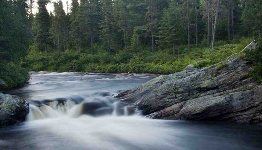 Essential Patterns for Miramichi Salmon & Atlantic Striped Bass