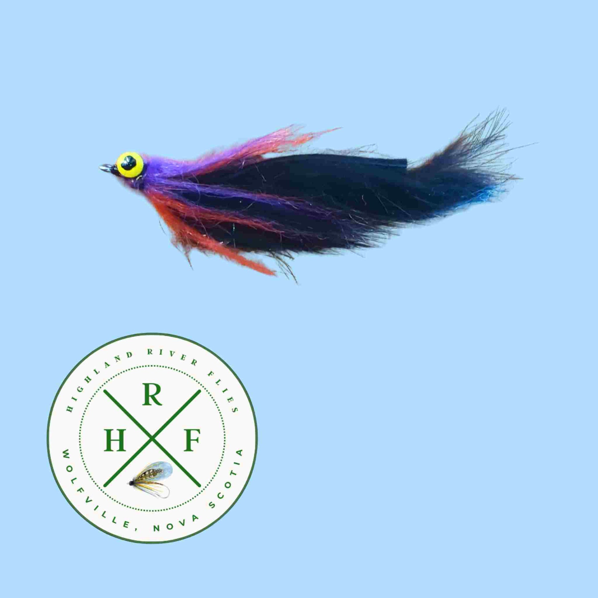 Colourful black streamer fly