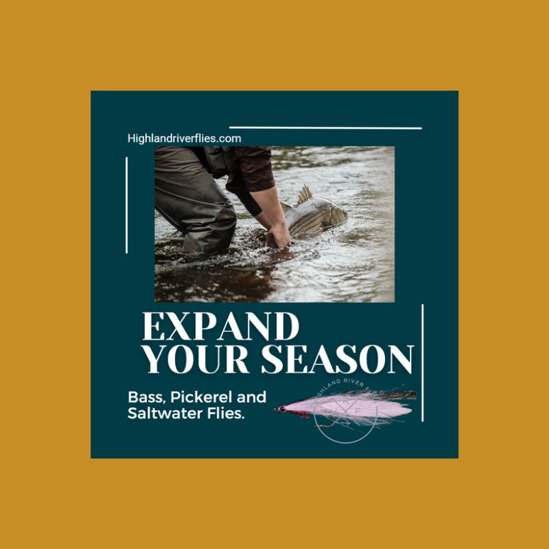 Expand fly fishing season with Striped bass 