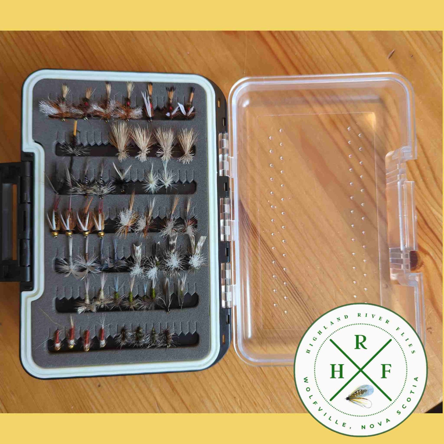 Pack de truites du Canada atlantique