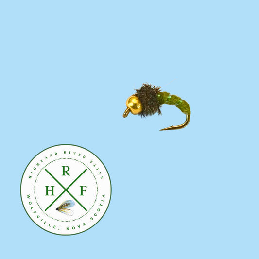 Bead Head Caddis Larva Olive