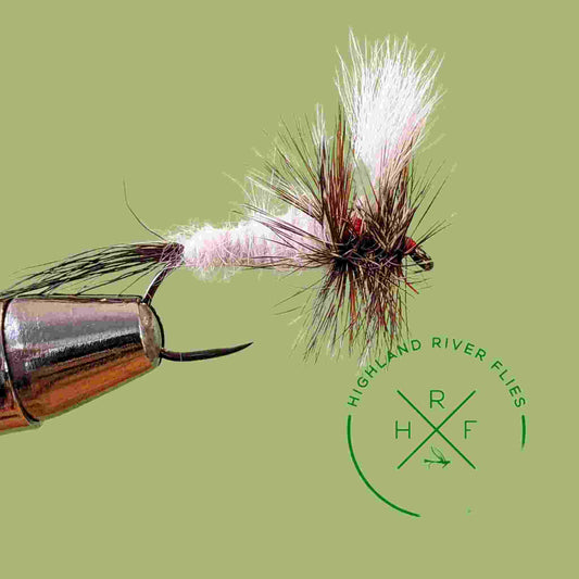 Ausable Wolff Fly