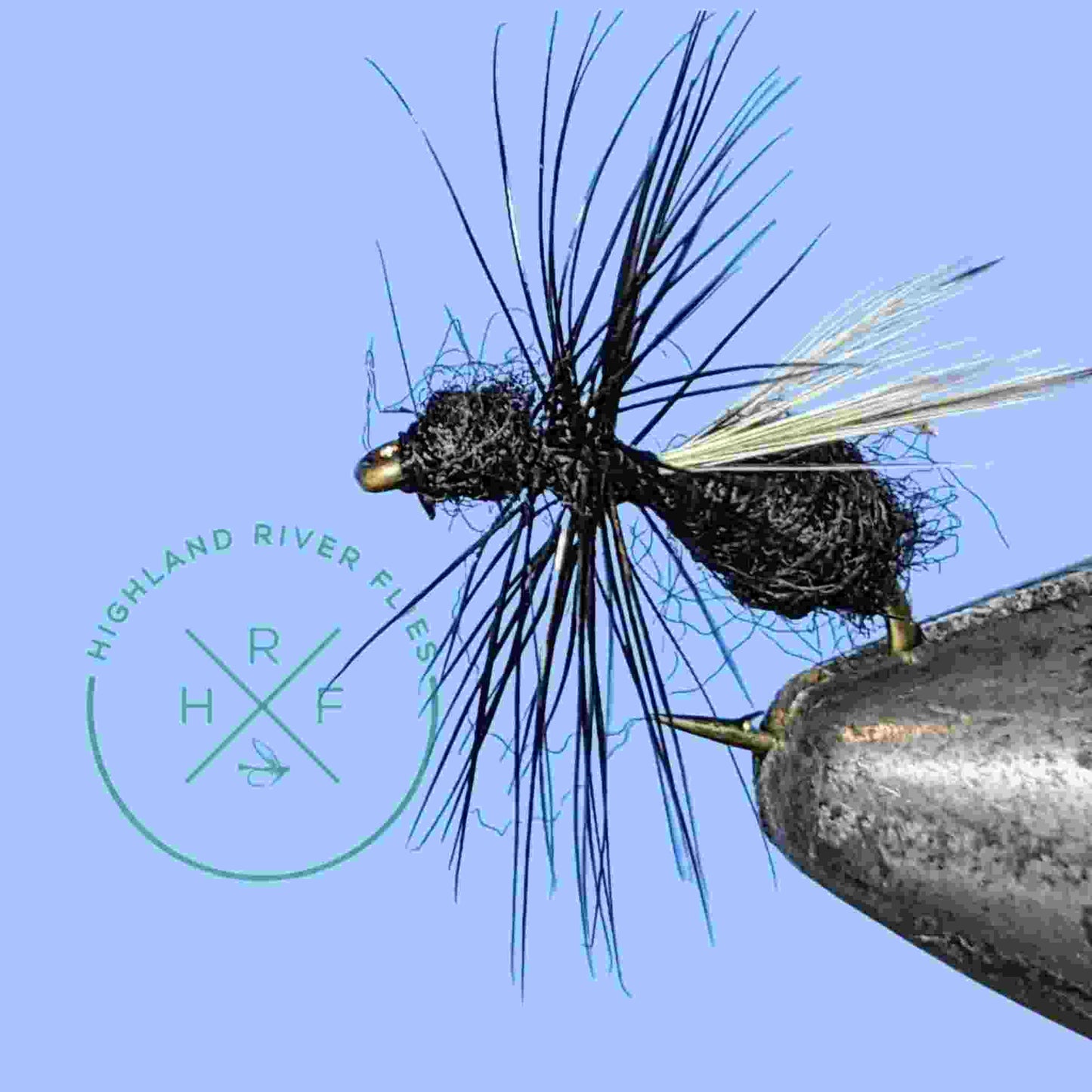 Black Flying Ant Fly