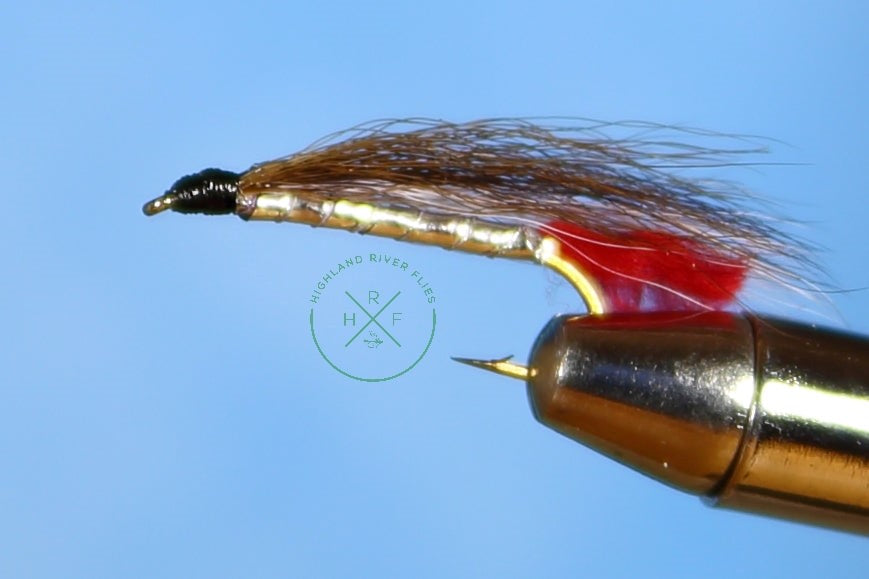 Black Nose Dace Fly